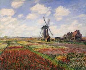 Claude Monet - Umelecká tlač Tulip Fields with the Rijnsburg Windmill, 1886, (40 x 35 cm)