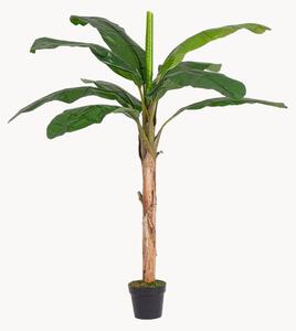 Exteriérová umelá rastlina Banana, V 180 cm