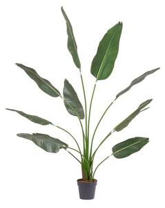 Exteriérová umelá rastlina Strelitzia, V 180 cm