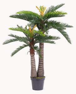 Exteriérová umelá rastlina Cycas, V 150 cm