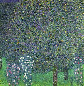 Gustav Klimt - Umelecká tlač Roses under the Trees, c.1905, (40 x 40 cm)