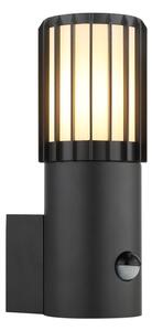 Globo 32160S - Vonkajšie nástenné svietidlo so senzorom MERVIN 1xE27/15W/230V IP54