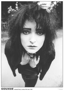 Plagát, Obraz - Siouxsie & The Banshees - London ’81