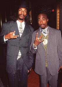 Plagát, Obraz - Snoop Dogg & Tupac - Suits, (59.4 x 84.1 cm)