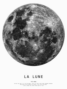 Ilustrácia moon1, Finlay & Noa, (30 x 40 cm)