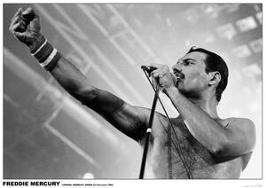 Plagát, Obraz - Freddie Mercury - Wembley 1984, (84.1 x 59.4 cm)