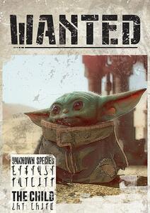 Plagát, Obraz - Star Wars: The Mandalorian - Baby Yoda Wanted