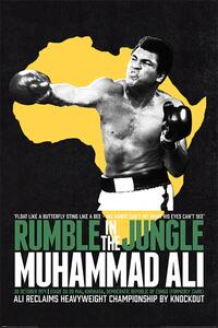 Plagát, Obraz - Muhammad Ali - Rumble in the Jungle