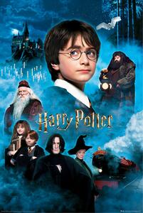 Plagát, Obraz - Harry Potter - Kameň mudrcov, (61 x 91.5 cm)