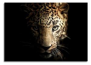 Sklenený obraz 100x70 cm Leopard - Styler