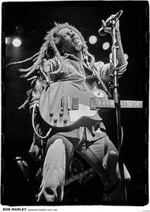 Plagát, Obraz - Bob Marley - Brighton, (59.4 x 84.1 cm)