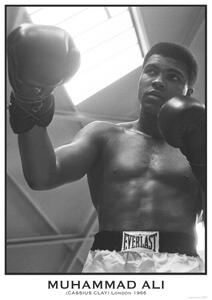 Plagát, Obraz - Muhammad Ali, (59.4 x 84.1 cm)