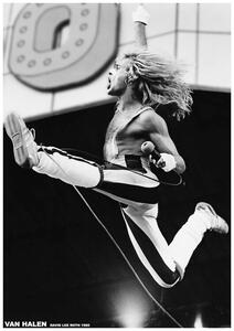 Plagát, Obraz - Van Halen - David Lee Roth 1980, (59.4 x 84.1 cm)