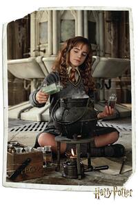 Plagát, Obraz - Harry Potter - Hermione Granger, (61 x 91.5 cm)