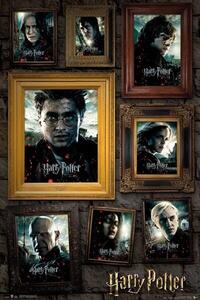 Plagát, Obraz - Harry Potter - Portrait, (61 x 91.5 cm)