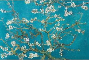Plagát, Obraz - Vincent van Gogh - Kvitnúce kvety mandľovníka, (91.5 x 61 cm)