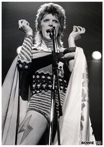 Plagát, Obraz - David Bowie - Ziggy Stardust 1973, (59.4 x 84.1 cm)