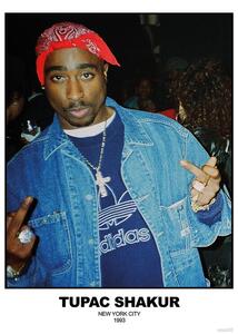 Plagát, Obraz - Tupac Shakur - N.Y.C 1993, (59.4 x 84.1 cm)