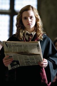 Umelecká tlač Harry Potter - Hermione, (26.7 x 40 cm)