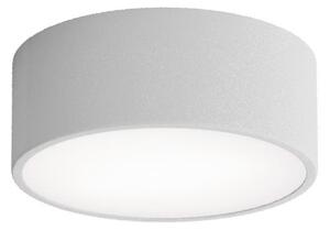Temar Kúpeľňové stropné svietidlo CLEO 1xE27/24W/230V pr. 20 cm šedá IP54 TM0131 + záruka 3 roky zadarmo