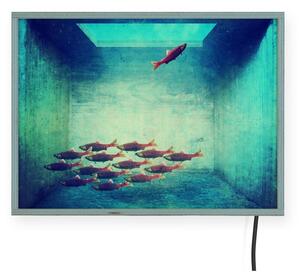 Svetelná nástenná dekorácia Surdic Free Fish, 40 x 30 cm