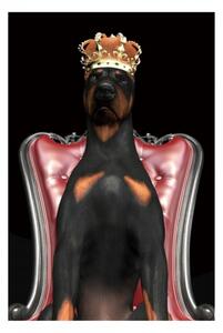 Obraz Dog in Crown 120 x 80 cm