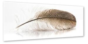 Obraz Styler Glasspik Wings, 50 × 125 cm