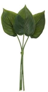 3 okrasné listy Philodendron - 30cm - J-Line by Jolipa