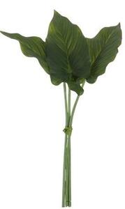 3 okrasné listy Philodendron II - 30cm - J-Line by Jolipa