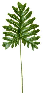 Okrasný list Philodendron - 34 * 80cm - Esschert design