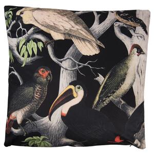 Čierny zamatový vankúš s výplňou Toucan - 45*45cm - Clayre & Eef