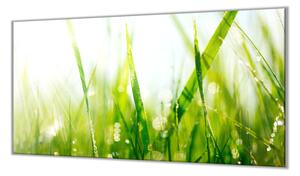Ochranná doska zelená tráva s rosou - 52x60cm / ANO