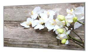Ochranná doska kvety biele orchidey na dreve - 40x60cm / ANO
