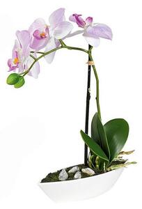ORCHIDEA orchidea 28 cm - Kvetinové dekorácie