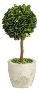 Buxus na kmienku v kvetináči - Ø10 * 24 cm - J-Line by Jolipa