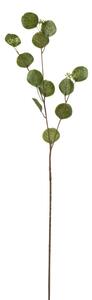 Zelená kytička Honesty - 68cm - J-Line by Jolipa