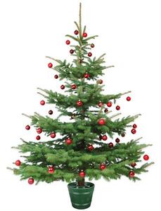 Stojan na vianočný stromček Planet 2 zelena