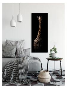 Obraz Styler Glas Animals Gira, 50 × 125 cm