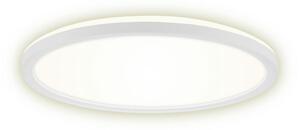 LED PANEL, 29,3/2,8 cm Xora - Interiérové svietidlá