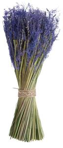 Dekorácie zväzok levanduľa Lavender - 40 cm - J-Line by Jolipa