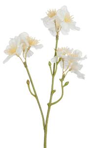 Dekoračné umelá vetvička s krémovými kvetmi Kersenboom - 25 cm - J-Line by Jolipa