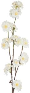 Dekoračné umelá vetvička s krémovými kvetmi Kersenboom - 77,5 cm - J-Line by Jolipa