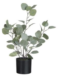 Dekorácie Eucalyptus v kvetináči - Ø12 * 43cm - J-Line by Jolipa