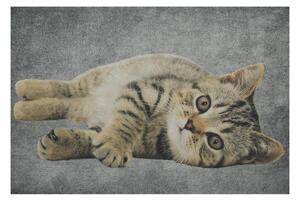 Šedá podlahová rohožka mourované mačiatko - 75 * 50 * 1cm - Mars & More
