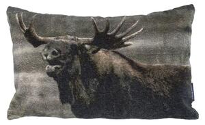 Zamatový vankúš s Losom - 50 * 30 * 15cm - Mars & More