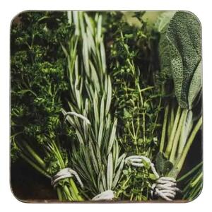 6ks pevné korkové podtácky bylinky Herbs - 10*10*0,4cm - Mars & More