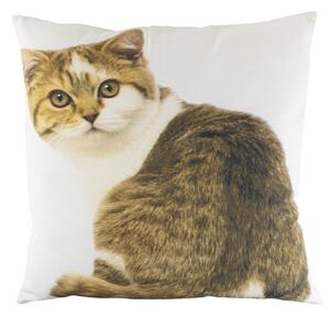 Plátený vankúš biely s mačkou Tabby - 50 * 50 * 10cm - Mars & More