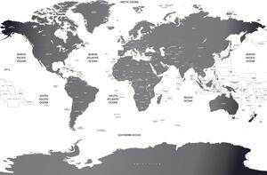 Tapeta mapa sveta s jednotlivými štátmi v šedej farbe