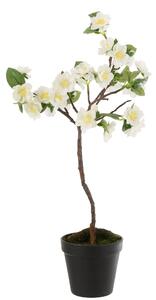 Dekorácie umelý biely kvitnúce stromček - 24-24 * 52 cm - J-Line by Jolipa