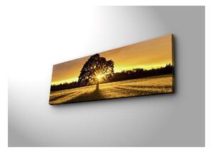 Podsvietený obraz Wallity Tree, 90 × 30 cm